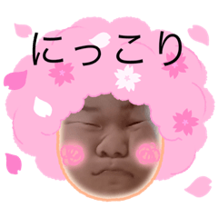 [LINEスタンプ] 亀亀亀ガガガ亀