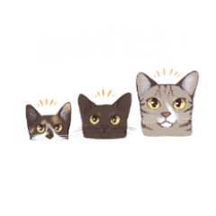 [LINEスタンプ] 我が家の猫たちSAQ＆MOJA＆SAN