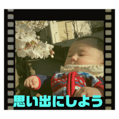 [LINEスタンプ] 陽翔さんとガロ