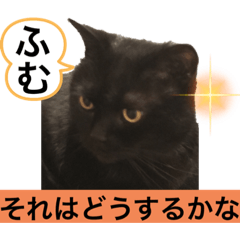 [LINEスタンプ] 黒猫 ルナ院長37にゃんめ