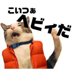 [LINEスタンプ] 猫のぐりのスタンプ  4