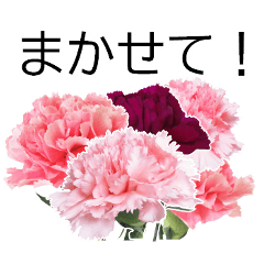 [LINEスタンプ] *花*カーネーション