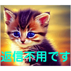 [LINEスタンプ] 【 挨拶 返信不用 感謝 】☆ ネコ