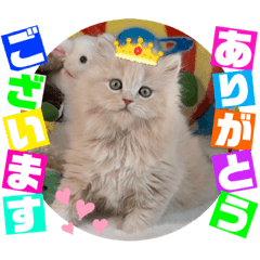 [LINEスタンプ] ミルクティーサファイヤ