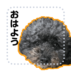 [LINEスタンプ] 文字入れどんべえ