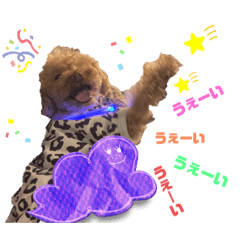 [LINEスタンプ] コタロースタンプ5