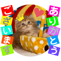 [LINEスタンプ] レッドクリスタル