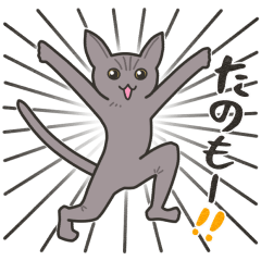 [LINEスタンプ] 40匹のねこの、みんなでごきげんよう！