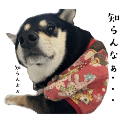 [LINEスタンプ] うちのおチビたち