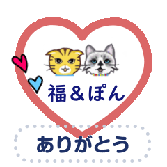 [LINEスタンプ] My Cat Love stamp