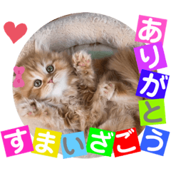 [LINEスタンプ] レッドアメジスト