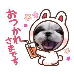 [LINEスタンプ] ろくちゃん3
