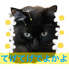 [LINEスタンプ] 黒猫 ルナ院長42にゃんめ