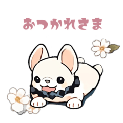 [LINEスタンプ] ゆるかわフレブルたちの日常