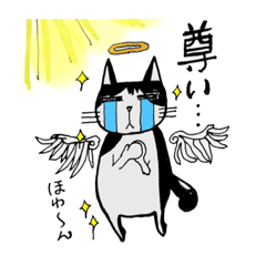 [LINEスタンプ] ハチワレ君は、今日も行く‼️