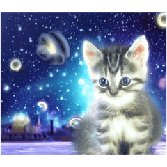 [LINEスタンプ] 【 流星 流星雨 流星群 月 】☆ ネコの画像（メイン）