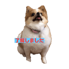 [LINEスタンプ] モコたん4、時々リク