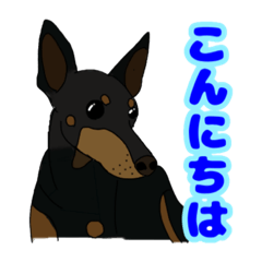 [LINEスタンプ] 愛され王子様