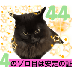 [LINEスタンプ] 黒猫 ルナ院長44にゃんめ