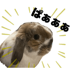 [LINEスタンプ] たれみみうさぎのよもぎ2