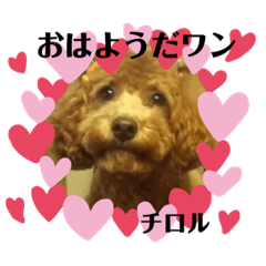 [LINEスタンプ] チロルの気持ち♡