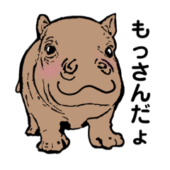 [LINEスタンプ] カバのもっさんの日常会話