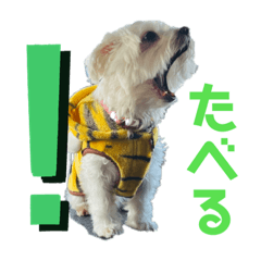 [LINEスタンプ] はなつもこ