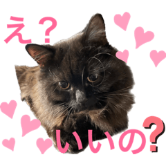 [LINEスタンプ] 黒猫 ルナ院長45にゃんめの画像（メイン）