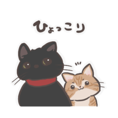 [LINEスタンプ] 黒猫と茶トラのこねこ