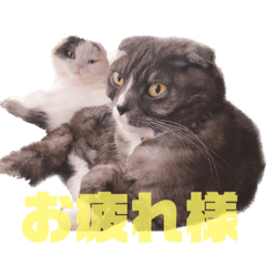 [LINEスタンプ] メルとルーシー②