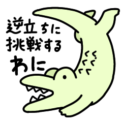 [LINEスタンプ] 逆立ちに挑戦するわに