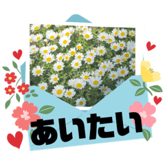 [LINEスタンプ] 花のチカラ