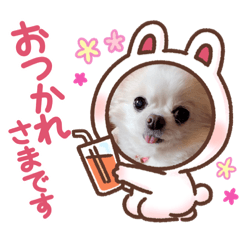 [LINEスタンプ] ポニョのペットたち