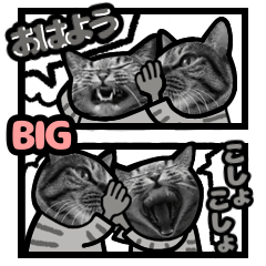 [LINEスタンプ] キジトラ猫BIG 10(あいさつ)