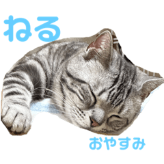 [LINEスタンプ] ある ろあ びび