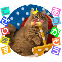 [LINEスタンプ] ねこまーち ファンタスティックプリンス