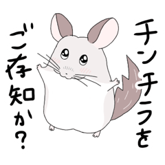 [LINEスタンプ] チンチラのむいむい3