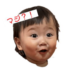 [LINEスタンプ] 禅。凛。