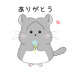 [LINEスタンプ] チンチラちびまるくん♡イラストスタンプ