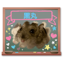 [LINEスタンプ] くろ＆ちく