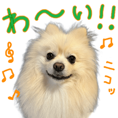 [LINEスタンプ] しいこたむつ 第4弾