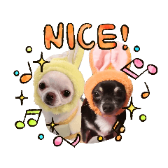 [LINEスタンプ] 我が家の犬たち9