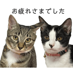 [LINEスタンプ] むちとろ