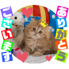 [LINEスタンプ] ねこまーち プリンスレッドジニアス