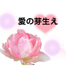 [LINEスタンプ] 花言葉（花のメッセージ）