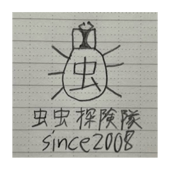 [LINEスタンプ] 虫虫探検隊 (本人確認済み)