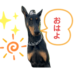 [LINEスタンプ] ロッキースタンプ2