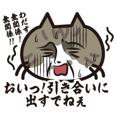 [LINEスタンプ] 猫好きさんに送る！にゃんだらけスタンプ3