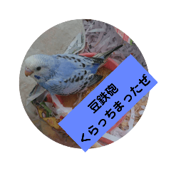 [LINEスタンプ] 鳥郵票の画像（メイン）