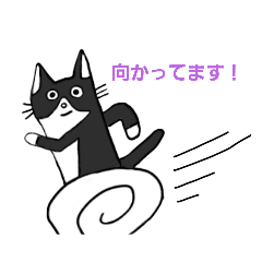 [LINEスタンプ] はちわれモナさん☆家族連絡スタンプ